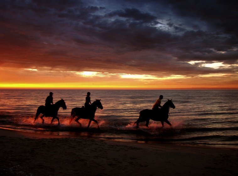 Ośrodek Jazdy Konnej Mierzeja 