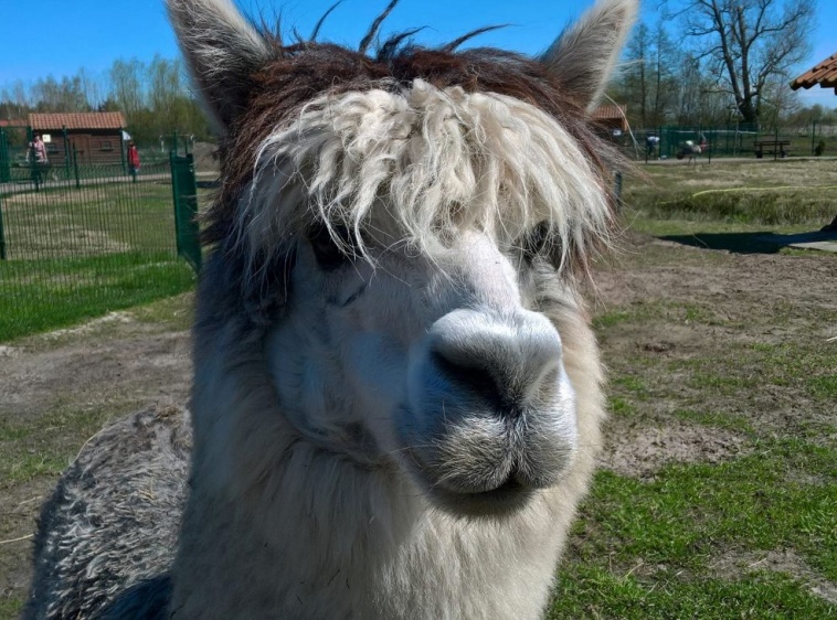 Mini Zoo Farma Jantar